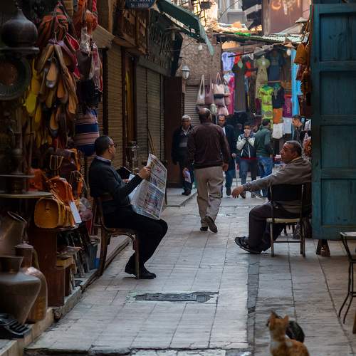 Фотография #11161450