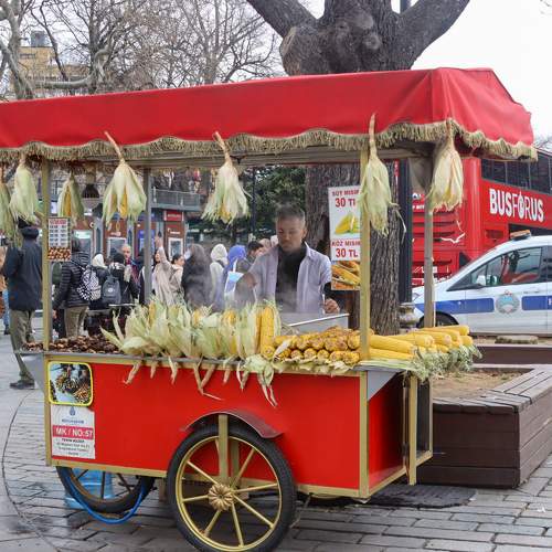 Photo #11161623