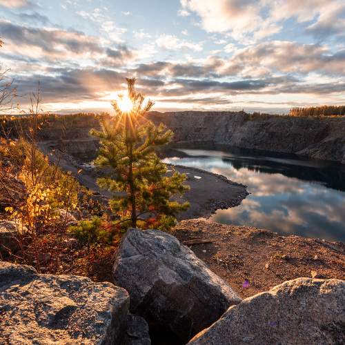 Photo #11161778