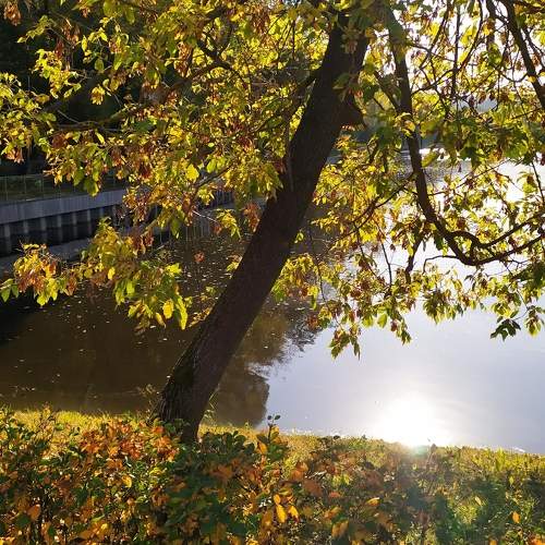 Photo #11161907