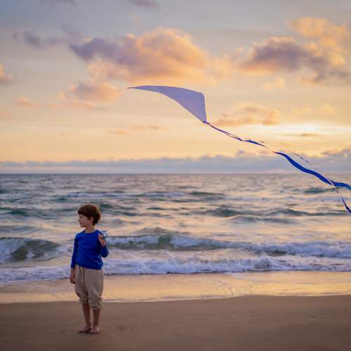 Photo #11161995