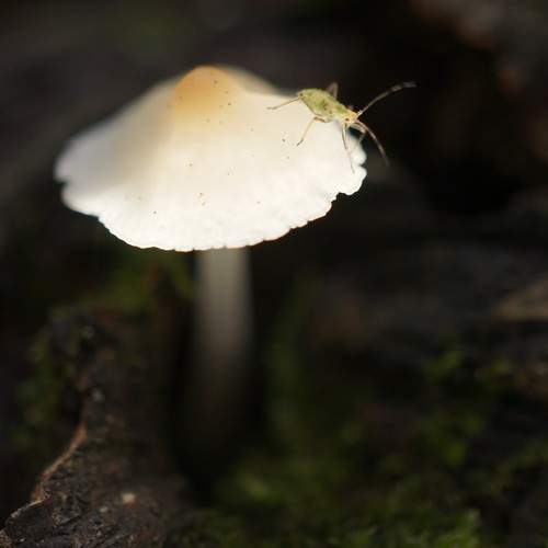 Photo #11162719