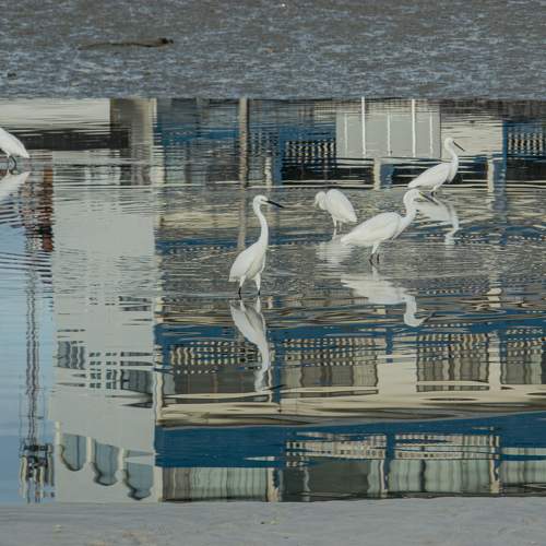 Photo #11163498