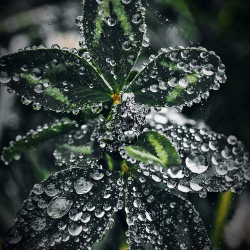 Photo #11163830