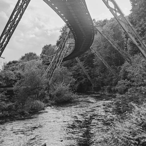Photo #11163916