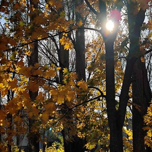 Photo #11164408