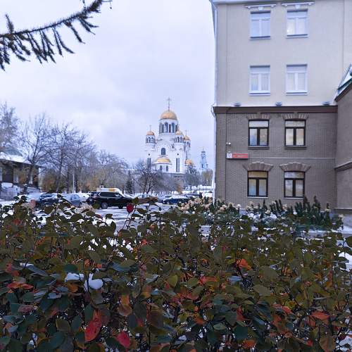 Photo #11164530