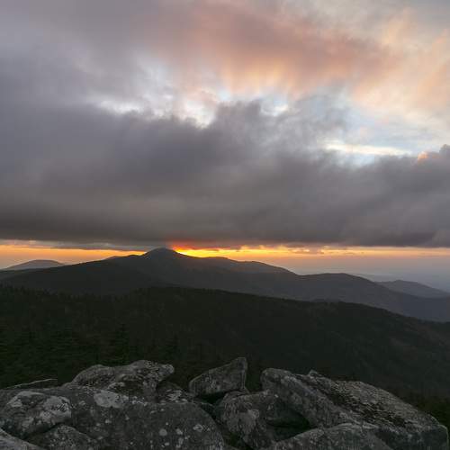 Photo #11164569