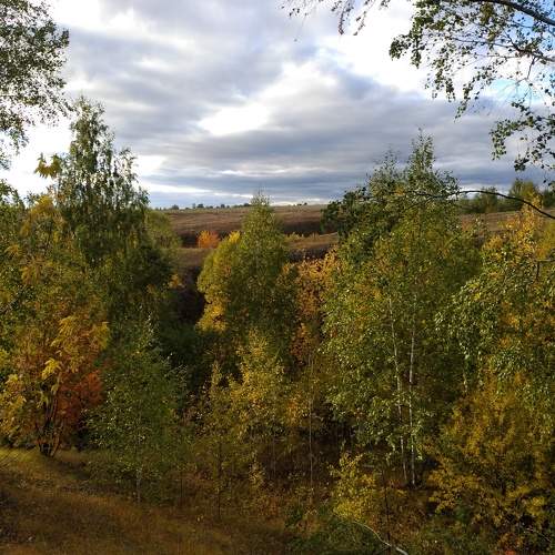 Photo #11164869