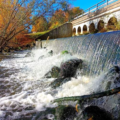 Photo #11165117