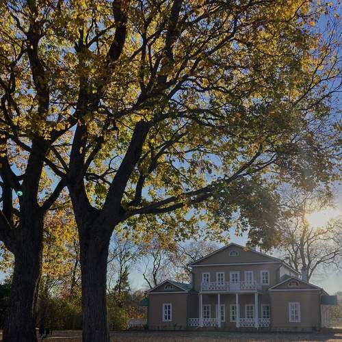 Photo #11165232
