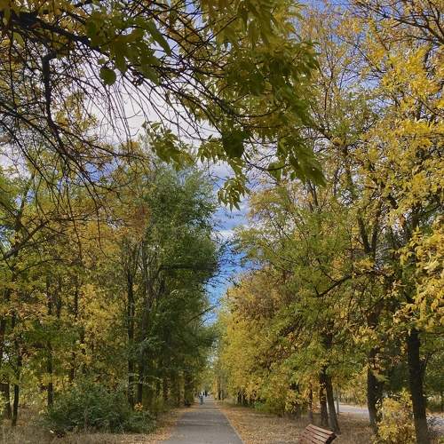 Photo #11165234
