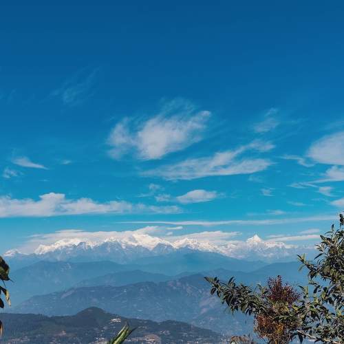 Photo #11165413