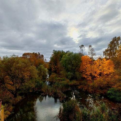 Photo #11165494