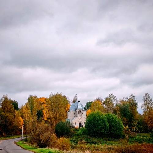 Photo #11165495
