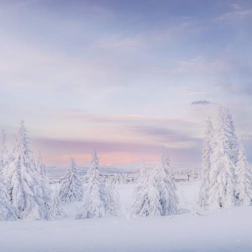 Photo #11165496