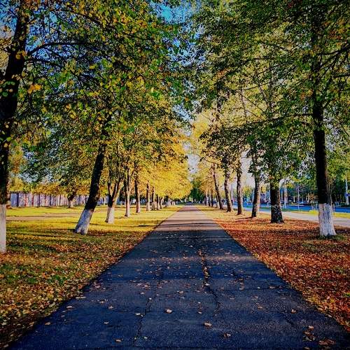 Photo #11165497