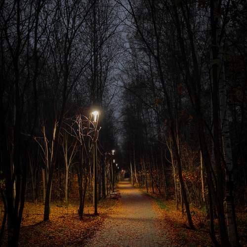 Photo #11165882