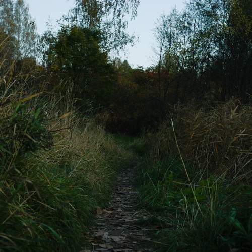 Photo #11165954