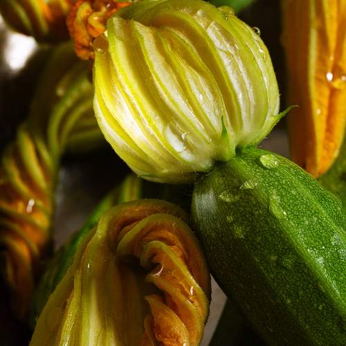 Photo #11165977