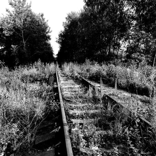 Photo #11166069