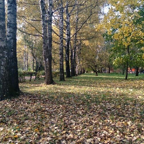 Photo #11166394