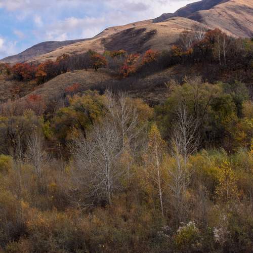 Photo #11166545