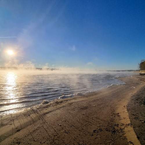 Photo #11166575