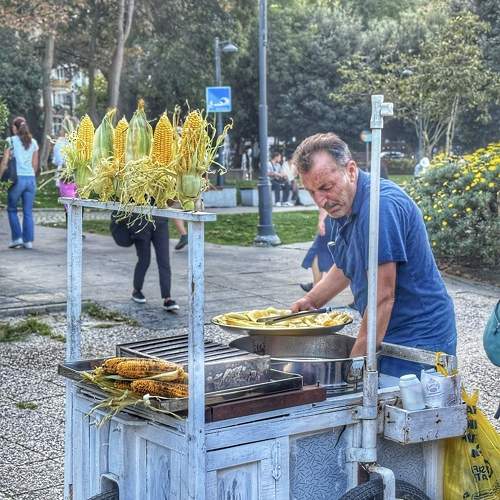 Photo #11166666