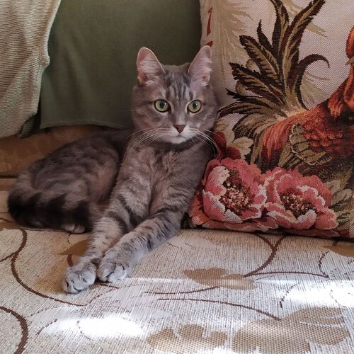 Photo #11166998