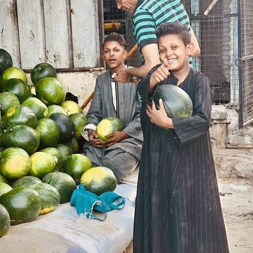 Photo #11167059