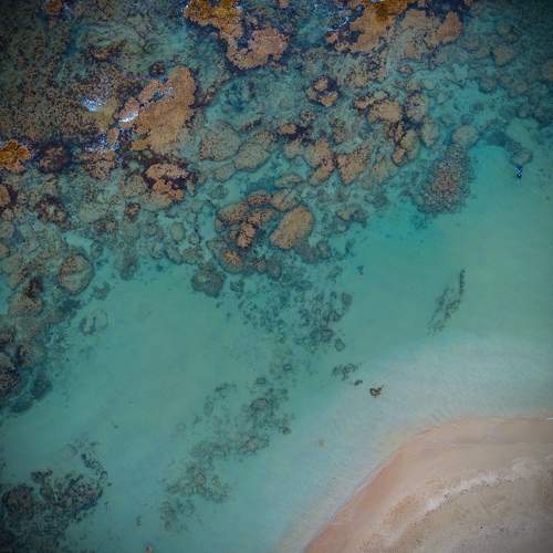 Photo #11167399