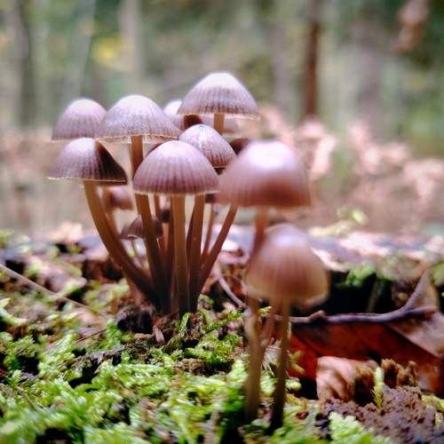 Photo #11167847
