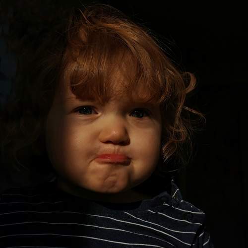 Photo #11168329