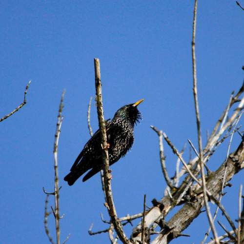Photo #11168665