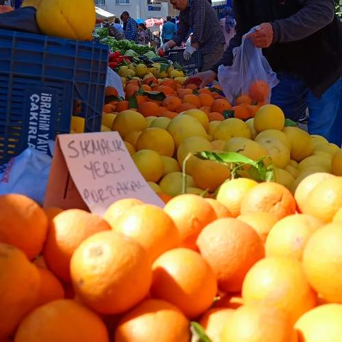 Photo #11168810