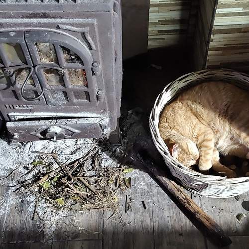 Photo #11168816