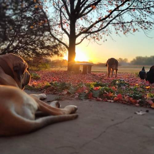 Photo #11168818