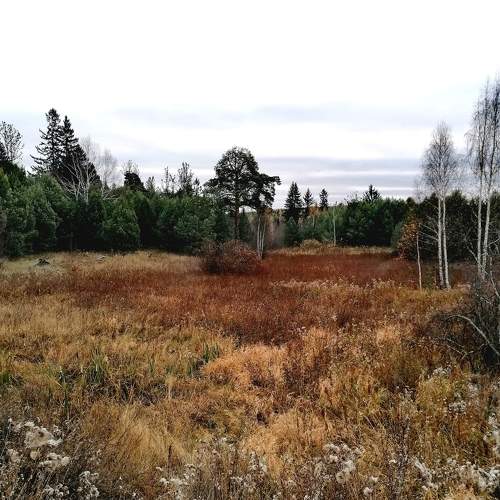 Photo #11168833