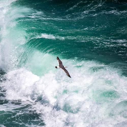 Photo #11169083
