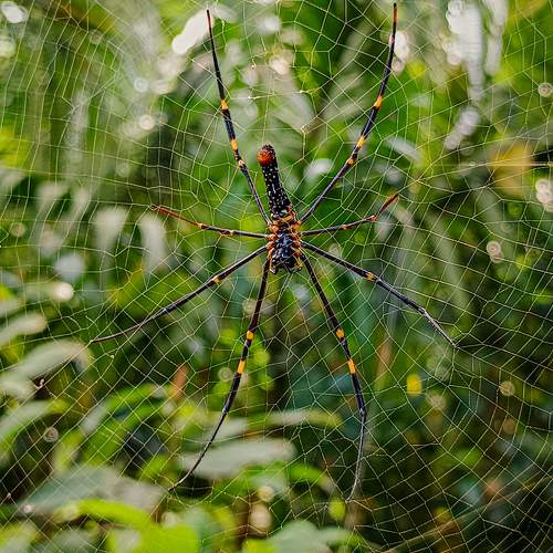 Photo #11169117