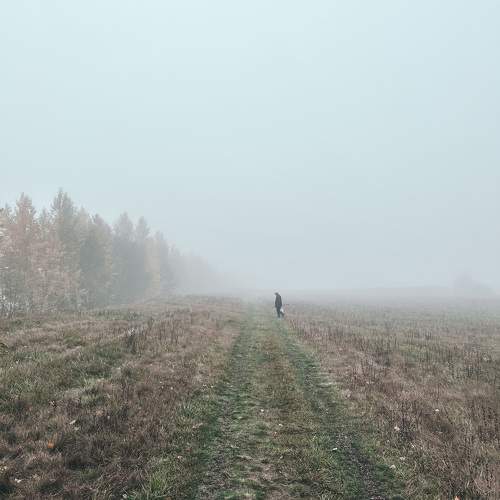 Photo #11169424