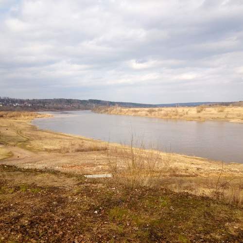 Photo #11169560