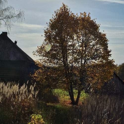 Photo #11169617