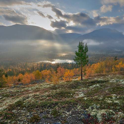 Photo #11169704