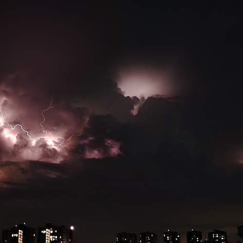 Photo #11169728