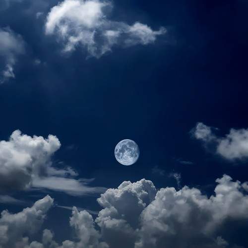 Photo #11169757
