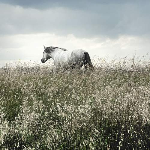 Photo #11169775