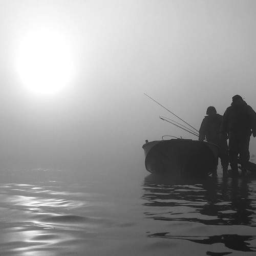 Photo #11169792