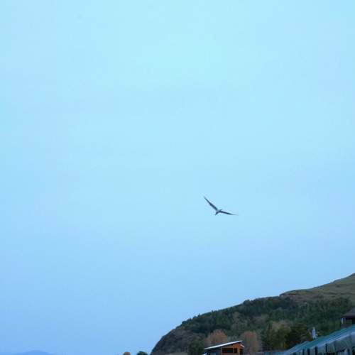 Photo #11169974